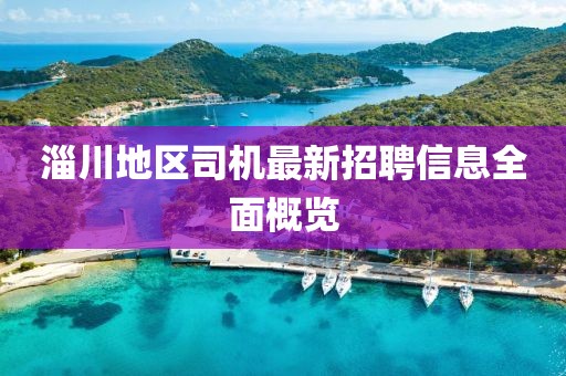 淄川地區(qū)司機(jī)最新招聘信息全面概覽