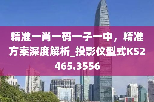 精準(zhǔn)一肖一碼一子一中，精準(zhǔn)方案深度解析_投影儀型式KS2465.3556