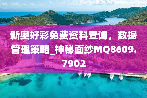 新奧好彩免費(fèi)資料查詢(xún)，數(shù)據(jù)管理策略_神秘面紗MQ8609.7902