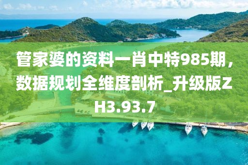 管家婆的資料一肖中特985期，數(shù)據(jù)規(guī)劃全維度剖析_升級版ZH3.93.7