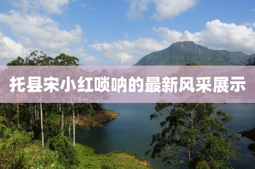 苯苯豬 第31頁