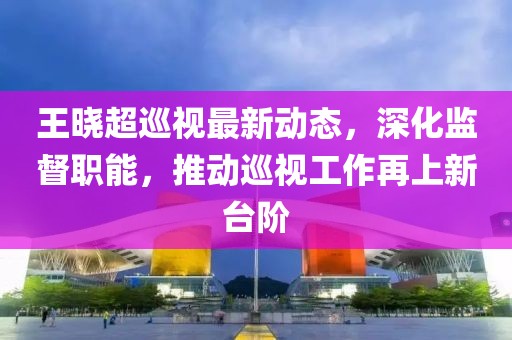 王曉超巡視最新動(dòng)態(tài)，深化監(jiān)督職能，推動(dòng)巡視工作再上新臺(tái)階
