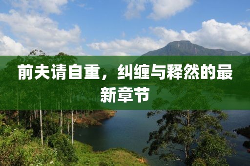 前夫請自重，糾纏與釋然的最新章節(jié)