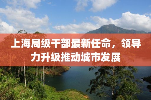 上海局級干部最新任命，領(lǐng)導(dǎo)力升級推動城市發(fā)展