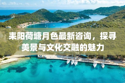 殤雪酒 第28頁
