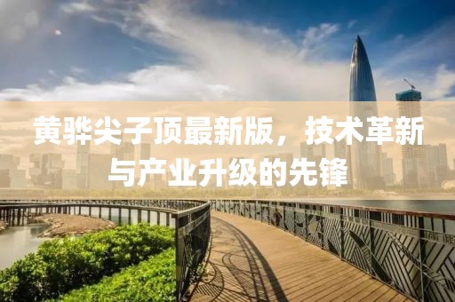 黃驊尖子頂最新版，技術(shù)革新與產(chǎn)業(yè)升級(jí)的先鋒