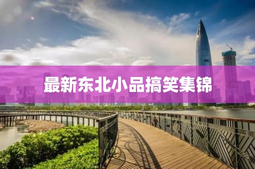 最新東北小品搞笑集錦