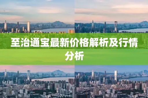 至治通寶最新價格解析及行情分析