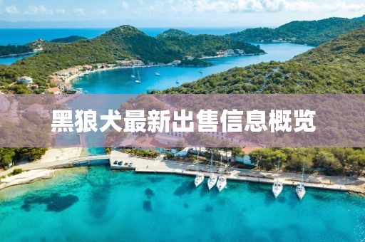黑狼犬最新出售信息概覽