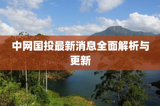 中網(wǎng)國投最新消息全面解析與更新