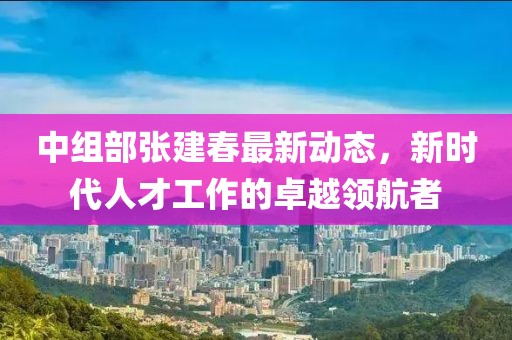 中組部張建春最新動態(tài)，新時代人才工作的卓越領航者