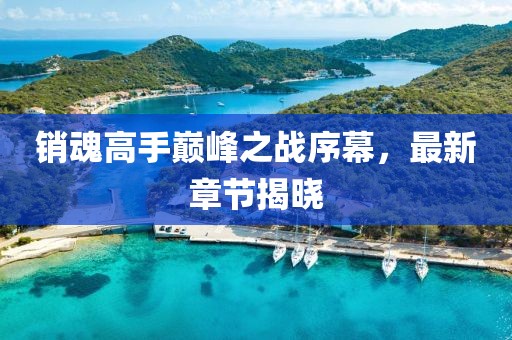 銷魂高手巔峰之戰(zhàn)序幕，最新章節(jié)揭曉