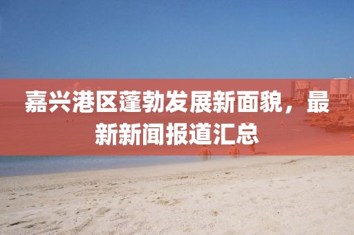 嘉興港區(qū)蓬勃發(fā)展新面貌，最新新聞報道匯總