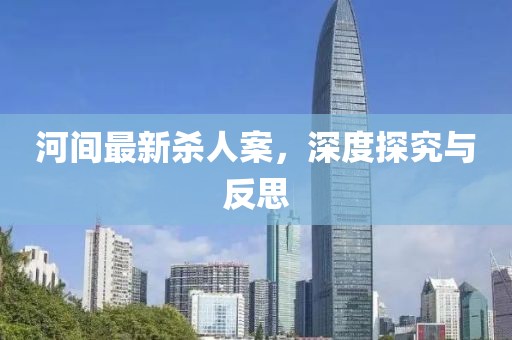 河間最新殺人案，深度探究與反思