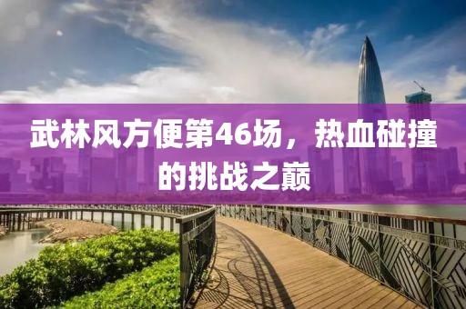 武林風方便第46場，熱血碰撞的挑戰(zhàn)之巔