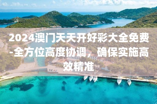 2024澳門天天開好彩大全免費(fèi)-全方位高度協(xié)調(diào)，確保實(shí)施高效精準(zhǔn)
