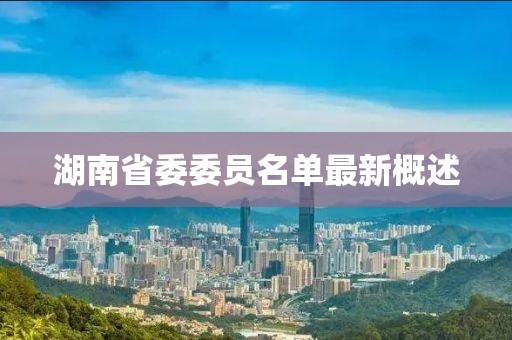 湖南省委委員名單最新概述