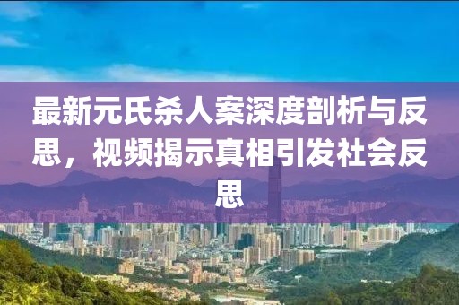 最新元氏殺人案深度剖析與反思，視頻揭示真相引發(fā)社會(huì)反思
