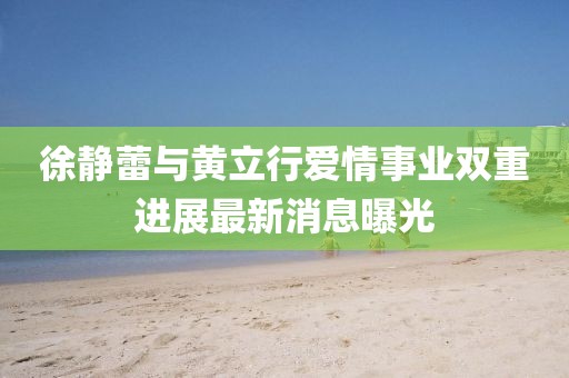 徐靜蕾與黃立行愛(ài)情事業(yè)雙重進(jìn)展最新消息曝光