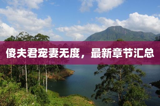 傻夫君寵妻無(wú)度，最新章節(jié)匯總