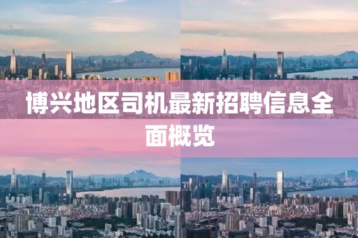 博興地區(qū)司機(jī)最新招聘信息全面概覽
