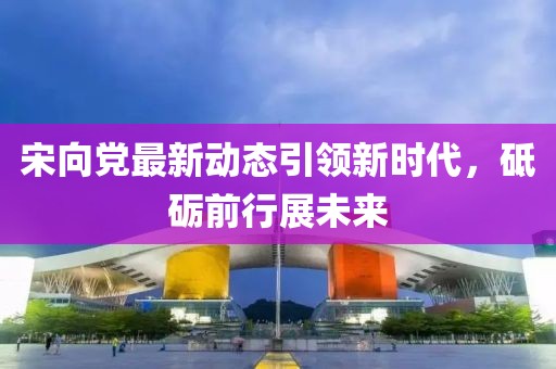 宋向黨最新動態(tài)引領(lǐng)新時代，砥礪前行展未來
