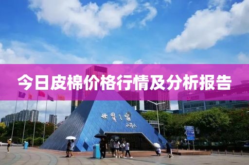 今日皮棉價格行情及分析報告