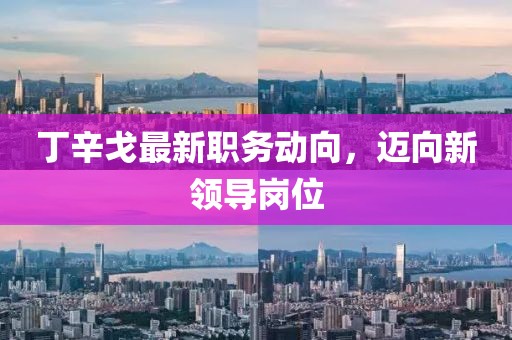丁辛戈最新職務(wù)動(dòng)向，邁向新領(lǐng)導(dǎo)崗位
