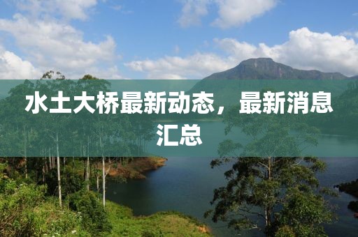 水土大橋最新動(dòng)態(tài)，最新消息匯總