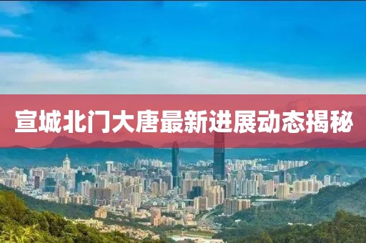 宣城北門大唐最新進(jìn)展動態(tài)揭秘