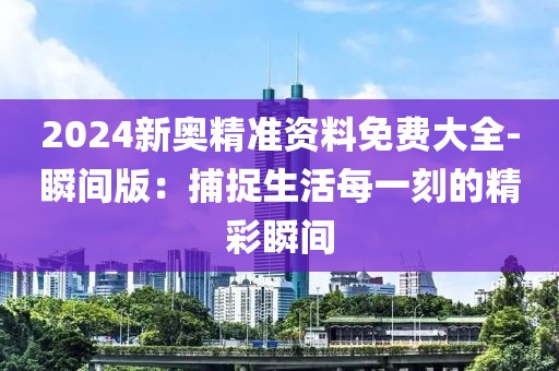 2024新奧精準(zhǔn)資料免費(fèi)大全-瞬間版：捕捉生活每一刻的精彩瞬間