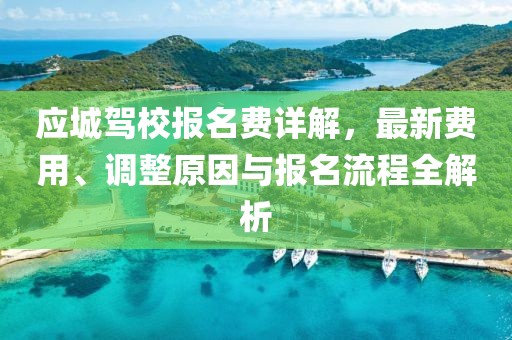 應(yīng)城駕校報(bào)名費(fèi)詳解，最新費(fèi)用、調(diào)整原因與報(bào)名流程全解析
