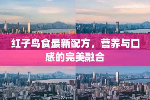 紅子鳥食最新配方，營養(yǎng)與口感的完美融合