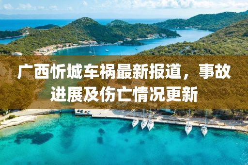 廣西忻城車禍最新報道，事故進(jìn)展及傷亡情況更新