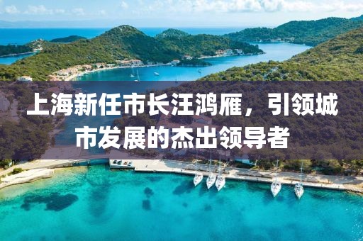 上海新任市長汪鴻雁，引領(lǐng)城市發(fā)展的杰出領(lǐng)導(dǎo)者