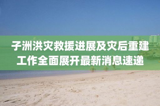 子洲洪災(zāi)救援進展及災(zāi)后重建工作全面展開最新消息速遞