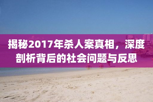 揭秘2017年殺人案真相，深度剖析背后的社會問題與反思