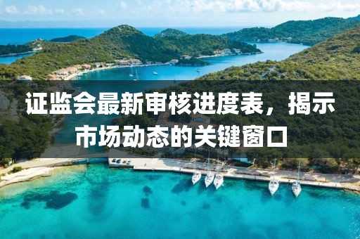 證監(jiān)會(huì)最新審核進(jìn)度表，揭示市場(chǎng)動(dòng)態(tài)的關(guān)鍵窗口