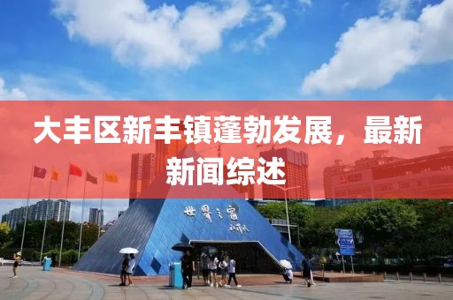 大豐區(qū)新豐鎮(zhèn)蓬勃發(fā)展，最新新聞綜述