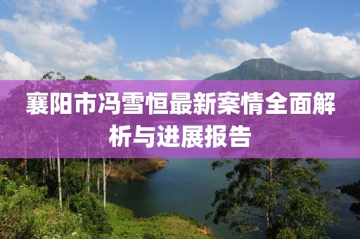 襄陽市馮雪恒最新案情全面解析與進(jìn)展報告