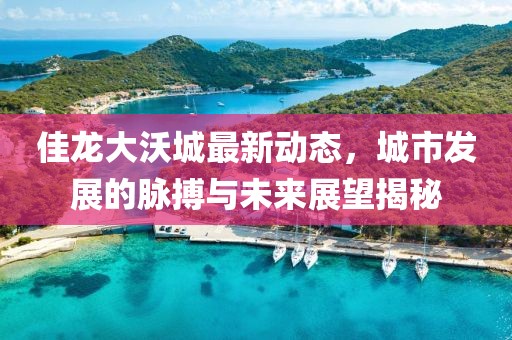 佳龍大沃城最新動態(tài)，城市發(fā)展的脈搏與未來展望揭秘