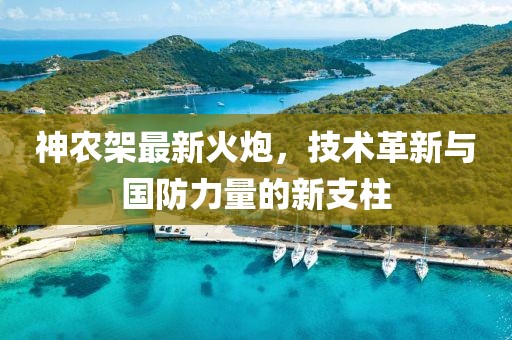 神農(nóng)架最新火炮，技術(shù)革新與國防力量的新支柱