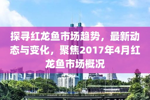 探尋紅龍魚市場趨勢，最新動態(tài)與變化，聚焦2017年4月紅龍魚市場概況