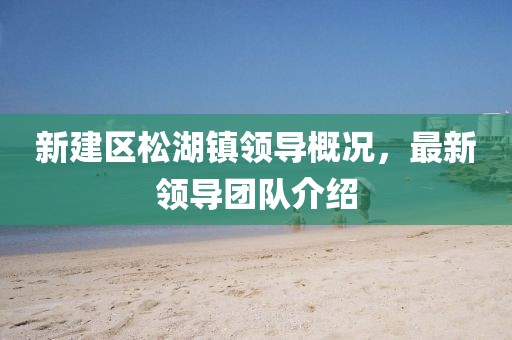 新建區(qū)松湖鎮(zhèn)領(lǐng)導(dǎo)概況，最新領(lǐng)導(dǎo)團(tuán)隊(duì)介紹
