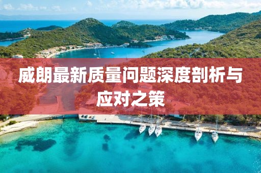 威朗最新質(zhì)量問題深度剖析與應對之策