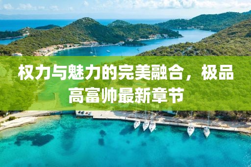 權(quán)力與魅力的完美融合，極品高富帥最新章節(jié)