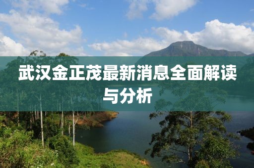 武漢金正茂最新消息全面解讀與分析