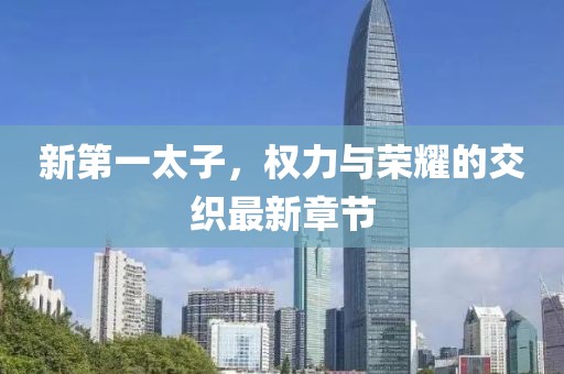 新第一太子，權(quán)力與榮耀的交織最新章節(jié)