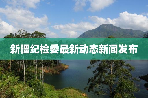 新疆紀(jì)檢委最新動(dòng)態(tài)新聞發(fā)布