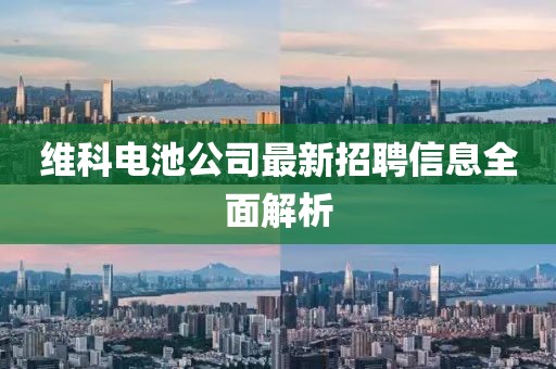 維科電池公司最新招聘信息全面解析